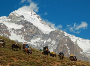Aconcagua Ameghino Valley Upper Guanacos Traverse with porters