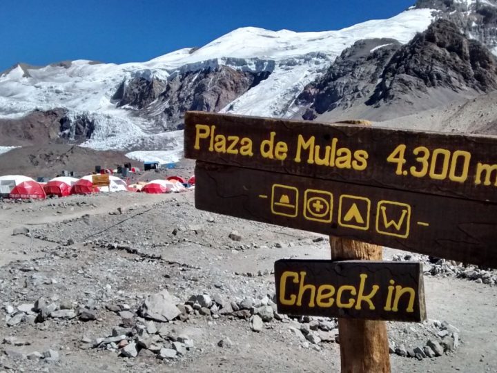 Aconcagua 12-day expedition